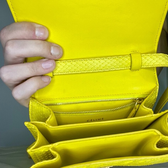Celine Classic Box Bag Yellow Python Crossbody - Picture 11 of 16